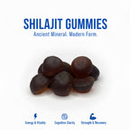15 day shilajit trial